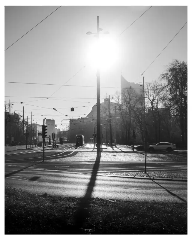 Sunny